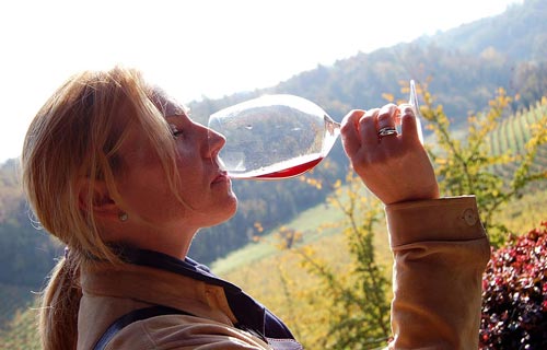 NCC Genova Noleggio Auto Con Conducente - Tour delle Langhe Piemonte Italia